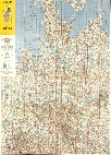 Kiel Hafen Stadtplan Watermarkedjpg.jpg